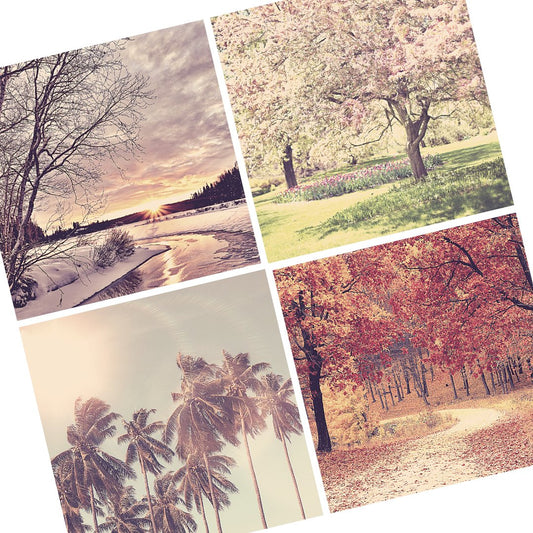 Transition your scent with the seasons - SBP