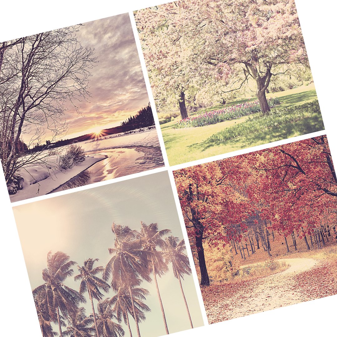 Transition your scent with the seasons - South Beach Perfumes