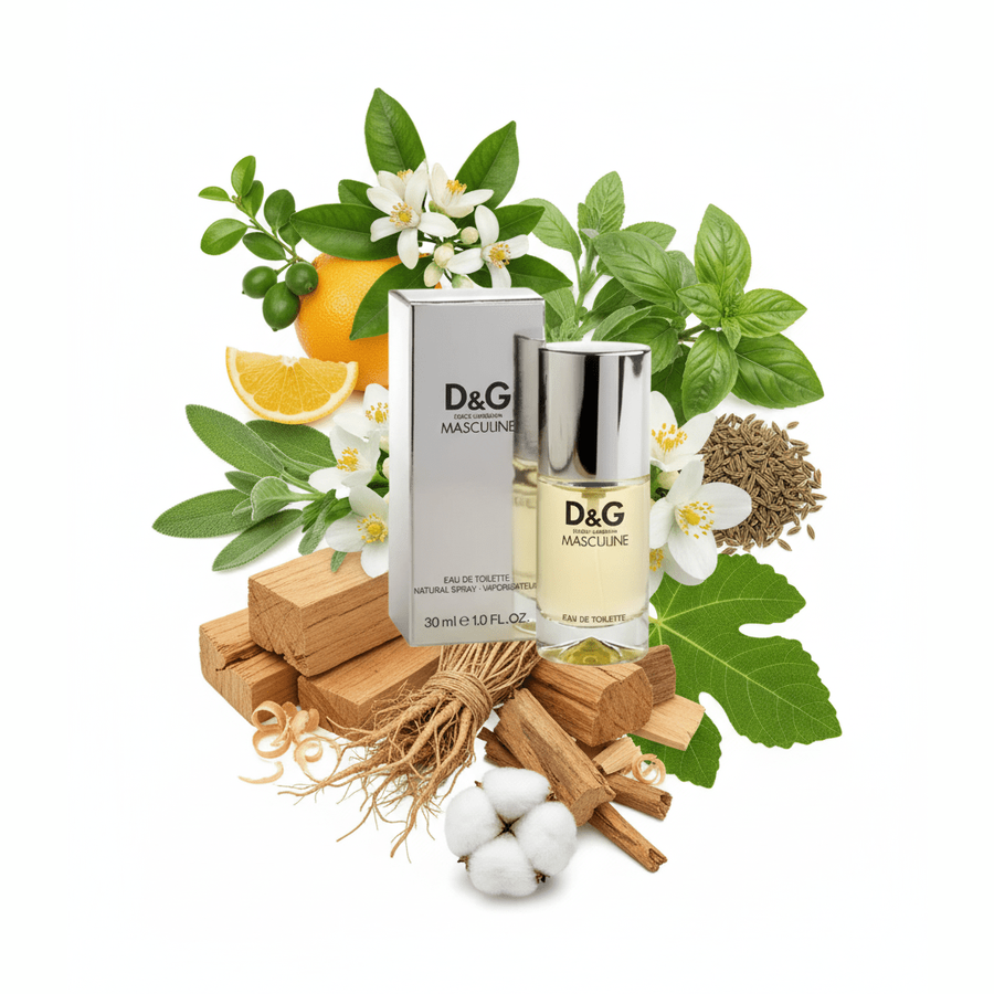 SBP - D&G Msaculine