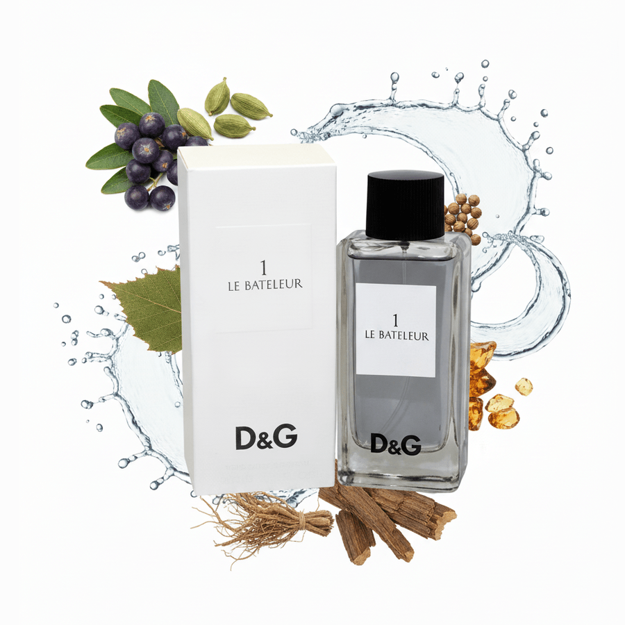 1 LE BATELEUR by Dolce & Gabbana: Notes, Longevity, Review & Complete Guide
