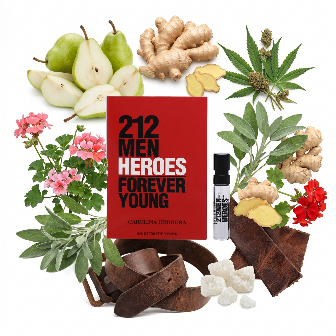 212 Heroes by Carolina Herrera: Notes, Longevity, Review & Complete Guide