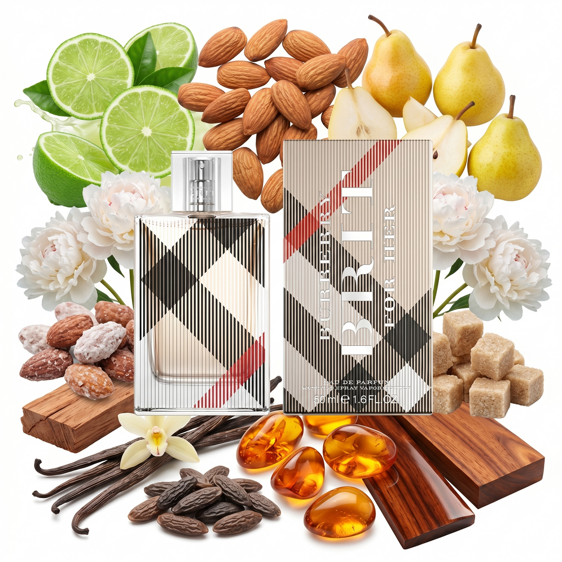 Burberry Brit Eau de Parfum: Notes, Longevity, Review & Complete Guide