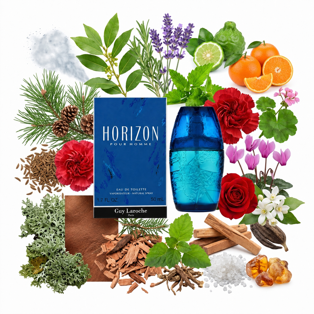 Horizon by Guy Laroche: Notes, Longevity, Review & Complete Guide