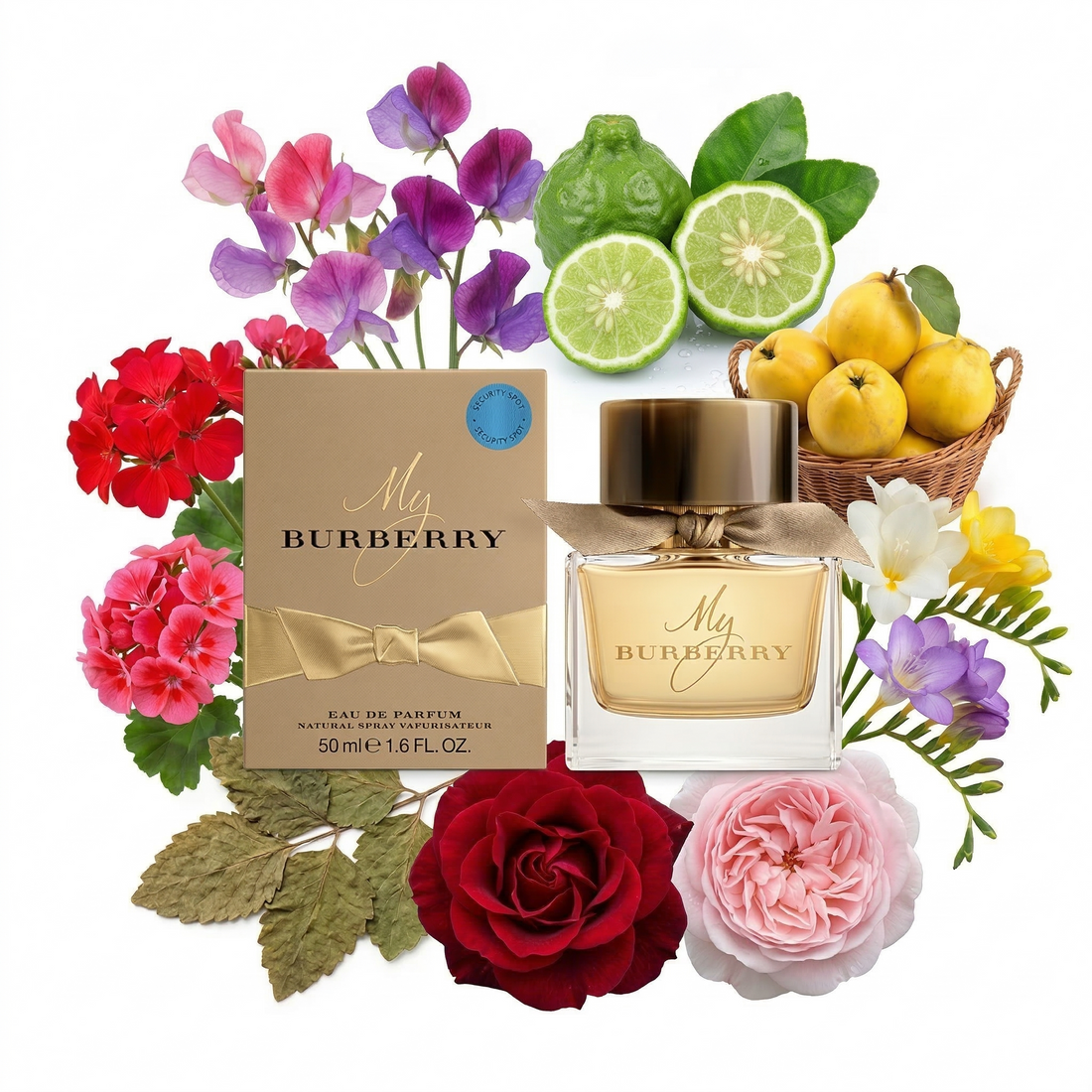 My Burberry Eau de Parfum: Notes, Longevity, Review & Complete Guide