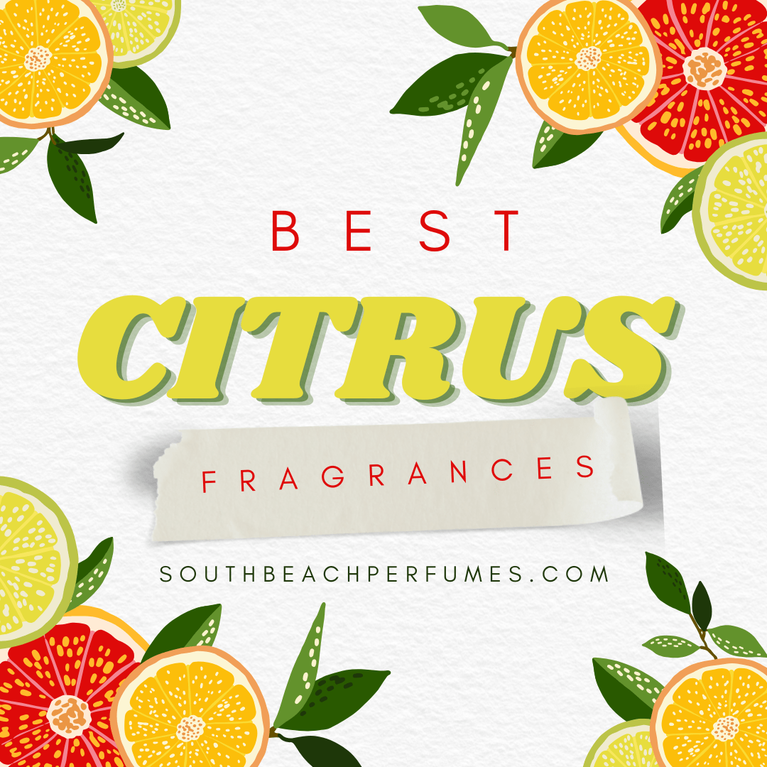 Best Citrus Fragrances to Refresh Your Summer Vibe 🍋🌸 - South Beach Perfumes