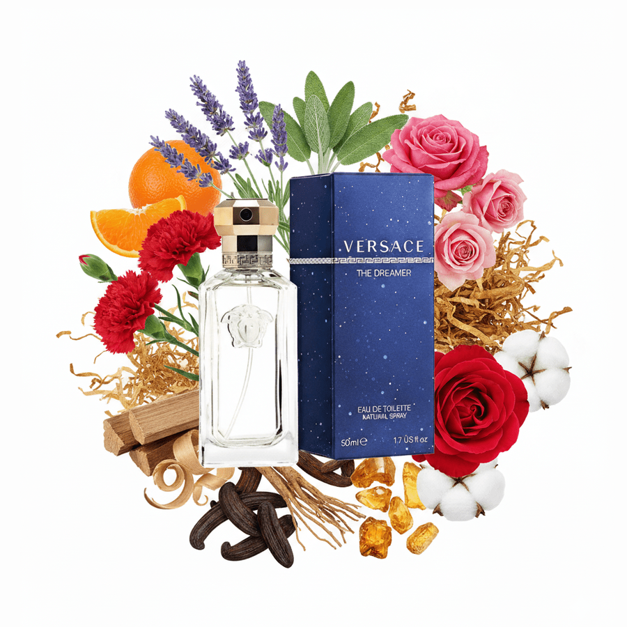 The Dreamer by Versace: Notes, Longevity, Review & Complete Guide