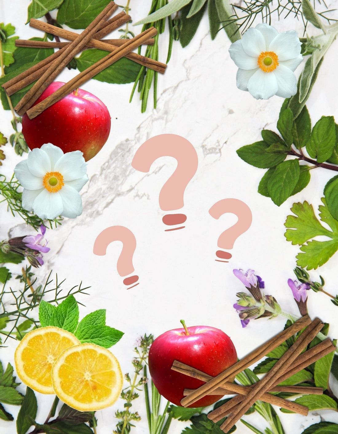 Fragrance Scent Categories - SBP