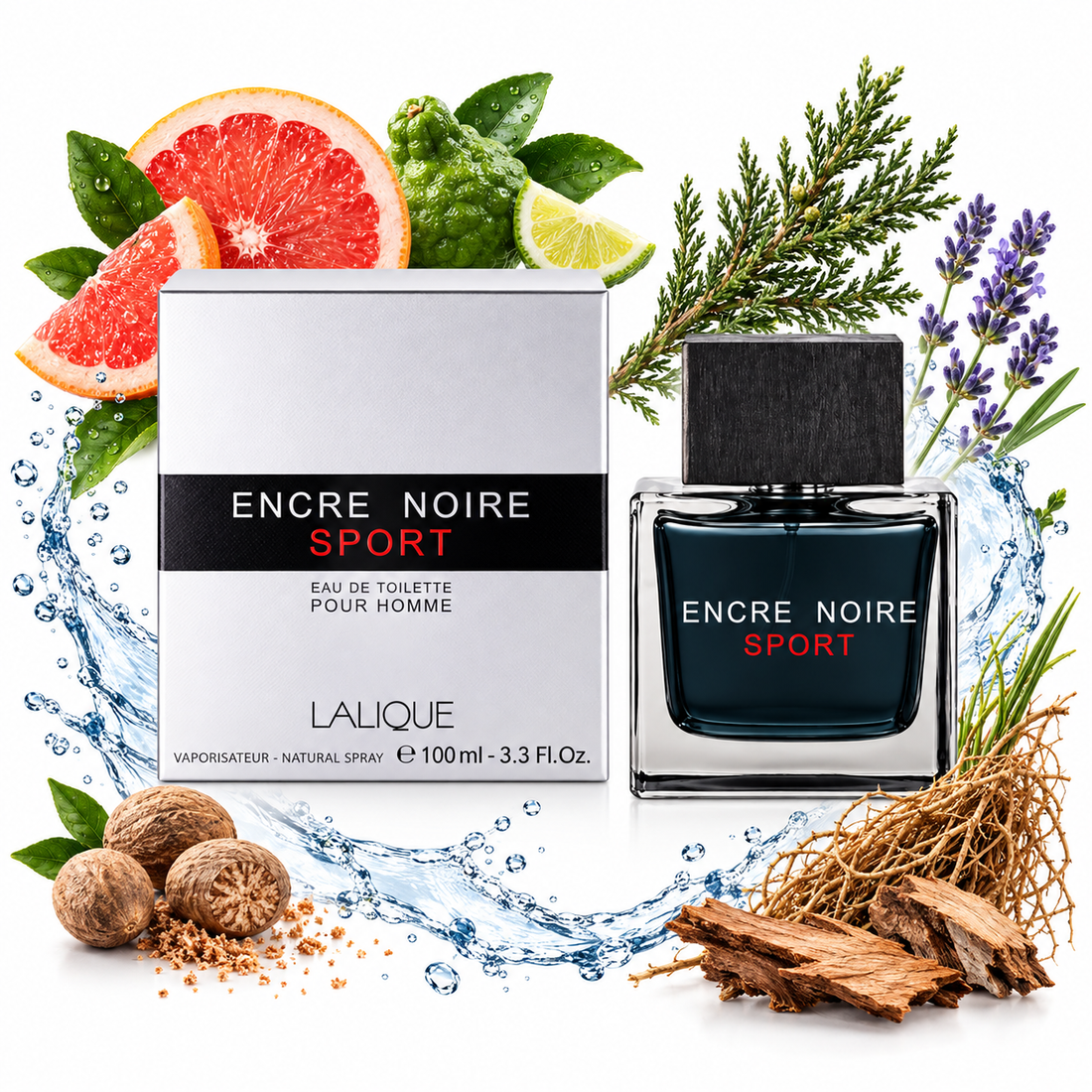 Encre Noire Sport by Lalique: Notes, Longevity, Review & Complete Guide