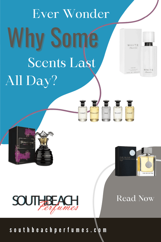 What Are Base Notes? A Beginner’s Guide to Fragrance Layers - SBP