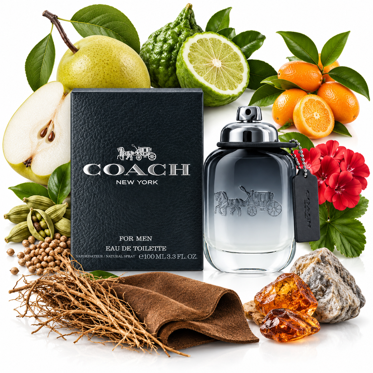 Coach For Men
