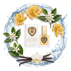 Dolce & Gabbana Devotion