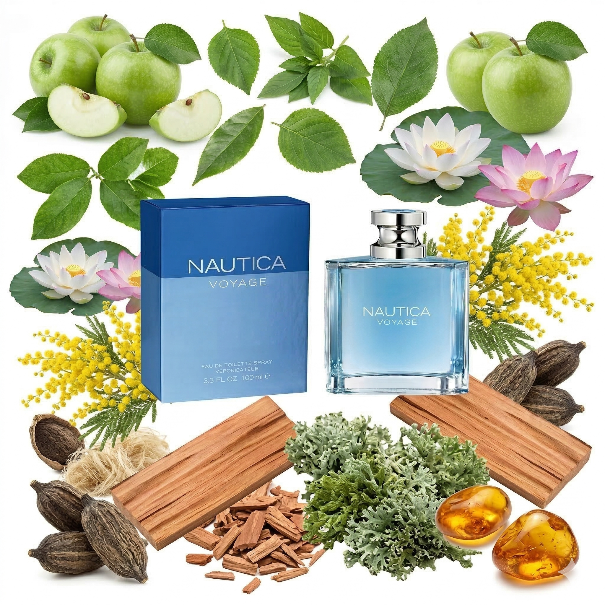 Nautica Voyage by Nautica