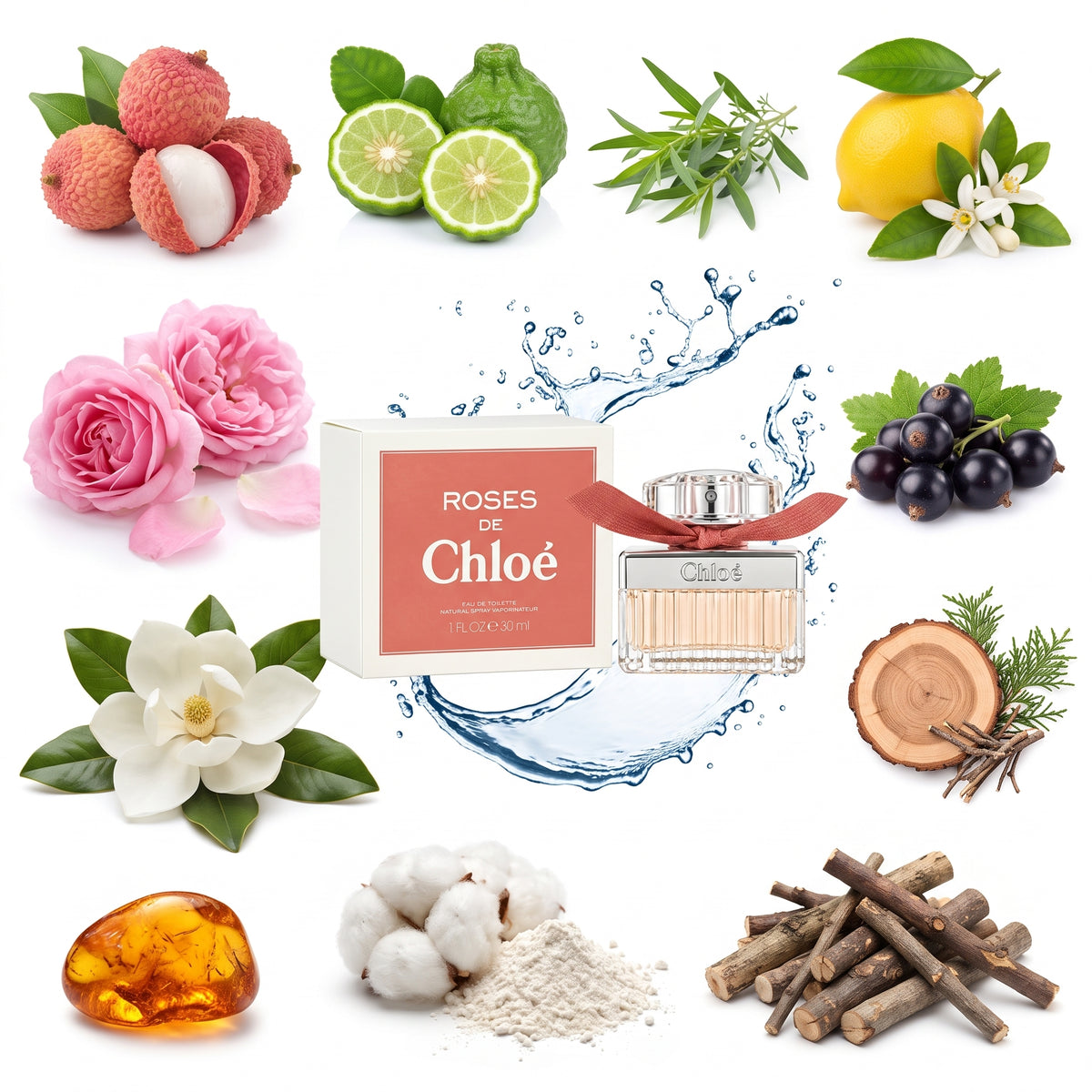 Roses de Chloé