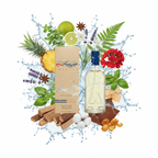 South Beach Perfumes - America