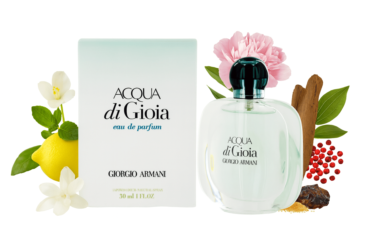 South Beach Perfumes - Aqua di Gioia