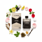 South Beach Perfumes - Black Creek