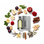 South Beach Perfumes - Boss 6