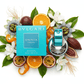 South Beach Perfumes - Bvlgari Omnia Paraiba