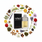 South Beach Perfumes - Cacharel