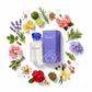 South Beach Perfumes - Casual