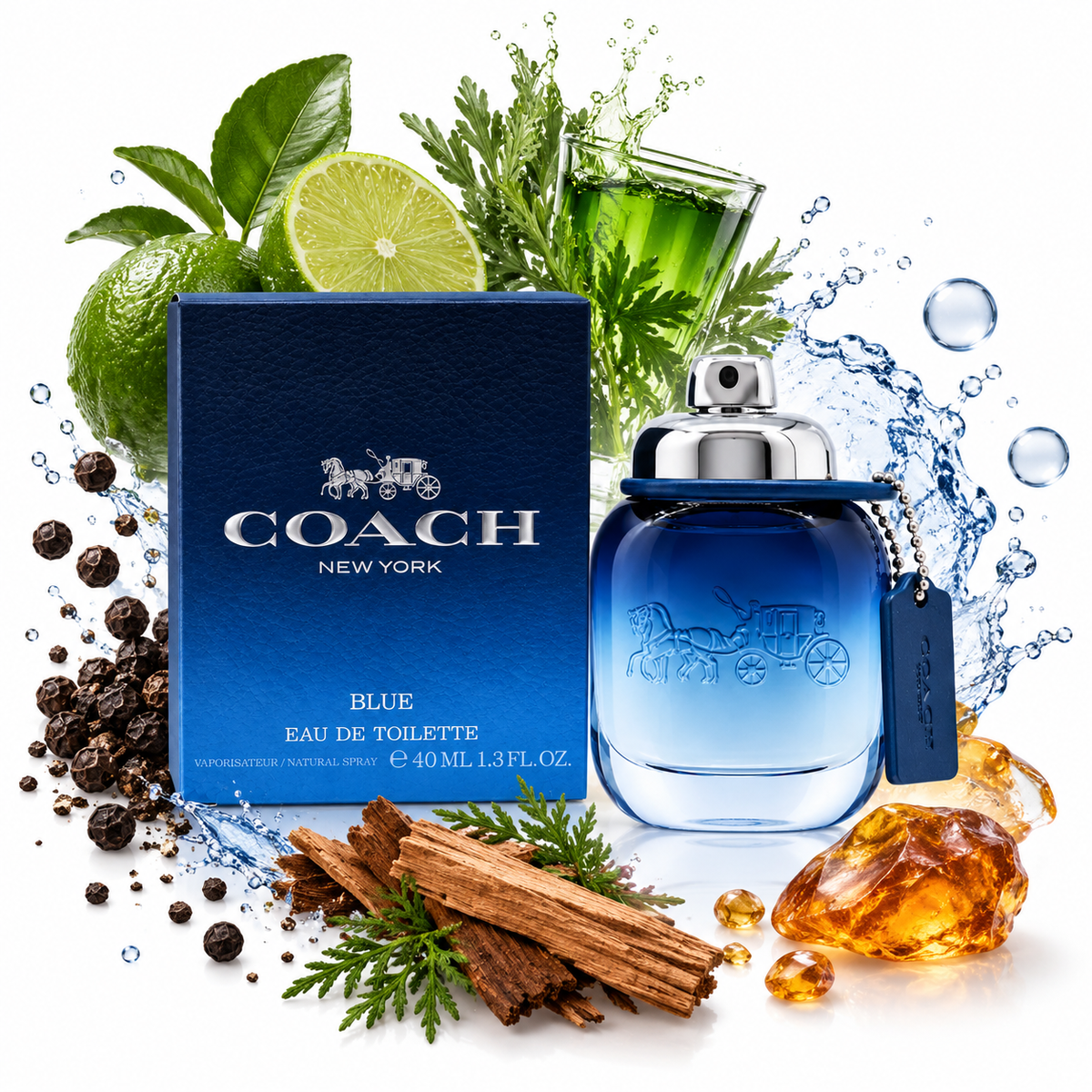 Coach Blue
