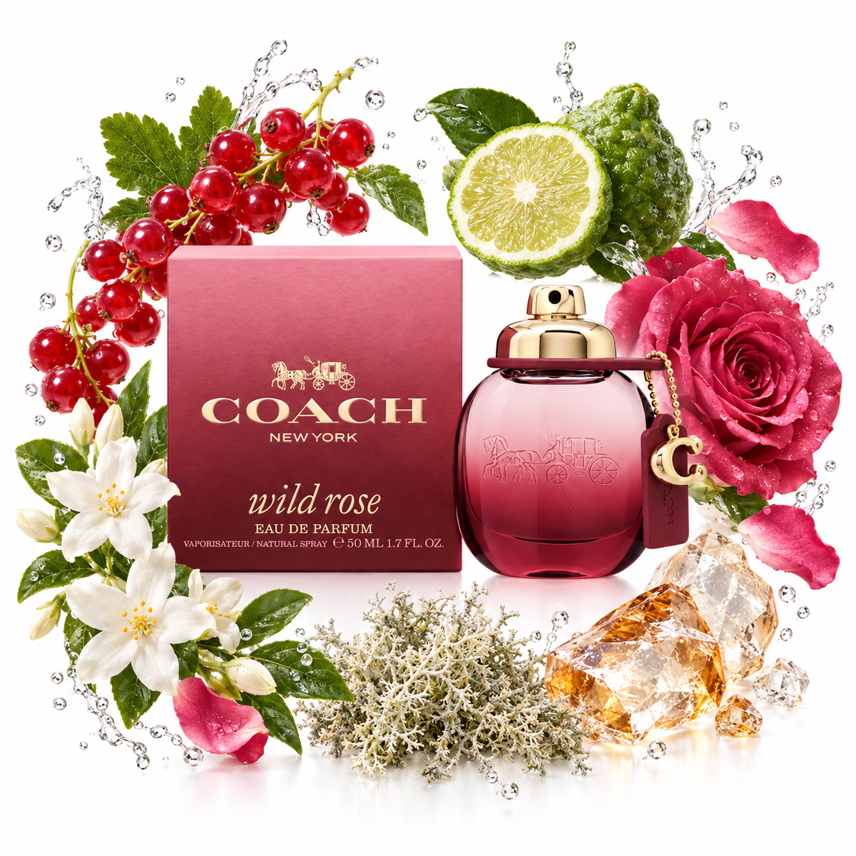 Coach Wild Rose