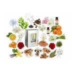 South Beach Perfumes - Dali