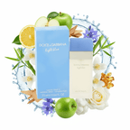 SBP - Dolce & Gabbana Light Blue