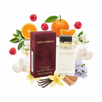 South Beach Perfumes - Dolce & Gabbana Pour Femme