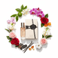 South Beach Perfumes - Flowerbomb