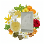 SBP - HISTOIRE D'AMOUR