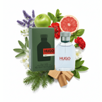 SBP - Hugo
