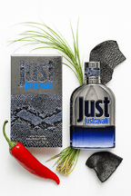 South Beach Perfumes - Just Cavalli