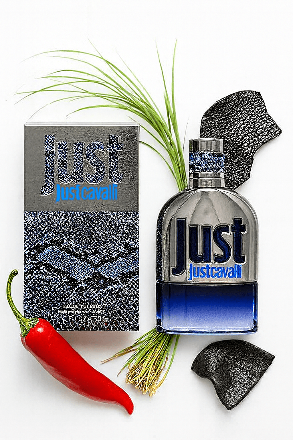 South Beach Perfumes - Just Cavalli