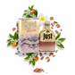 South Beach Perfumes - Just Cavalli