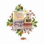 South Beach Perfumes - Just Cavalli