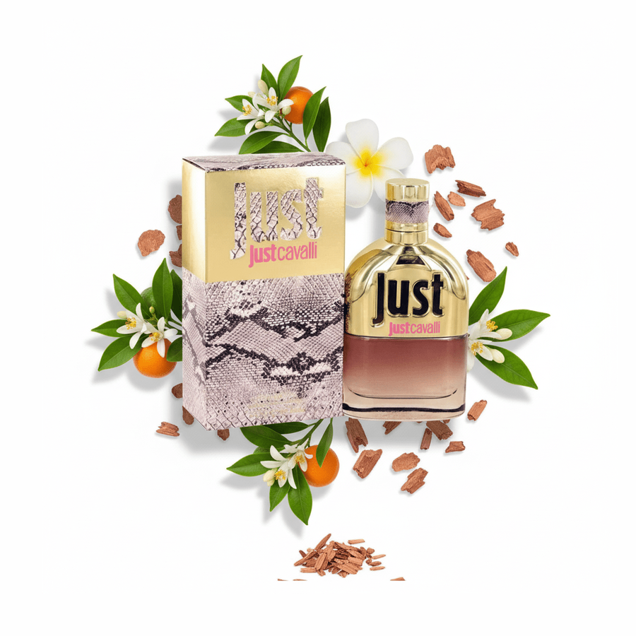 South Beach Perfumes - Just Cavalli
