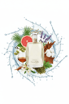 South Beach Perfumes - Spark Seduction