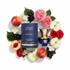 South Beach Perfumes - Versace Dylan Blue