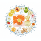 South Beach Perfumes - Vince Camuto Bella