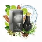 South Beach Perfumes - WATT Black